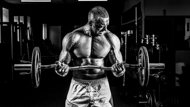 Musculación: Todo lo que necesitas saber para potenciar tu entrenamiento