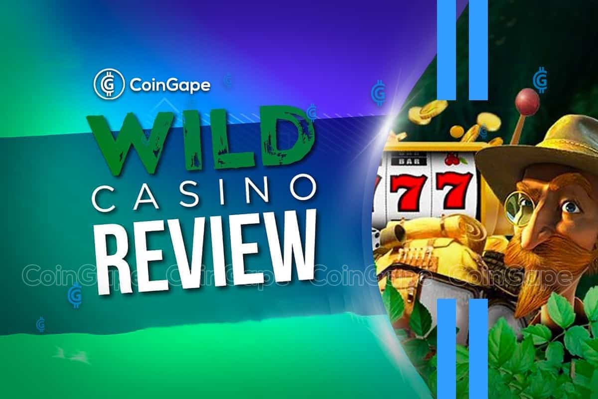 Full Review of Wild Online Casino